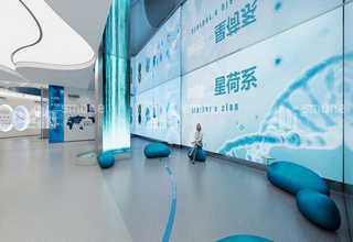 非瘟消毒粉哪个品牌好