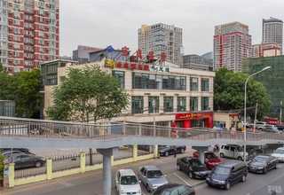 云梦1619杜康陈酿20欢迎选购